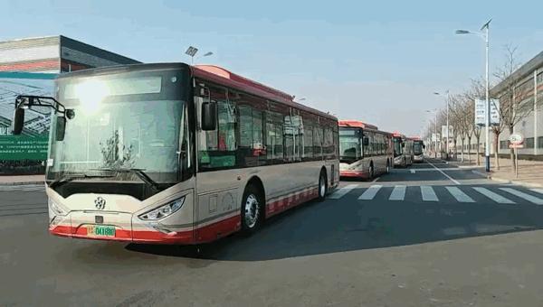 天津,历史与现代交织的繁华都市