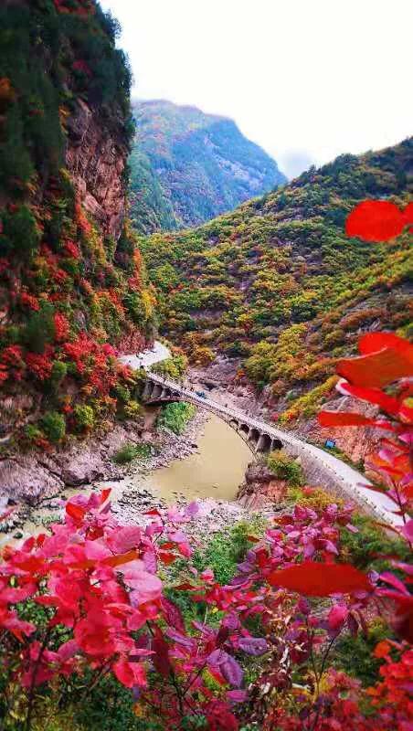 陕西之旅,历史与现代的交融体验