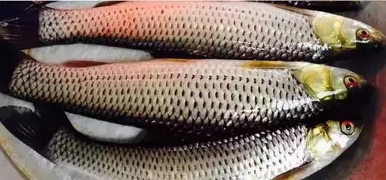 海南深度游攻略,初学者必看旅游指南