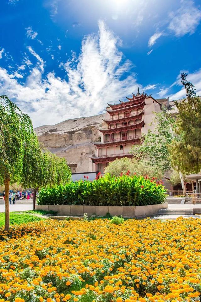 甘肃,友情与陪伴的温馨日常故事